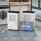 High Capacity Home Dehumidifier for Large Rooms