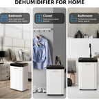 High Capacity Home Dehumidifier for Large Rooms