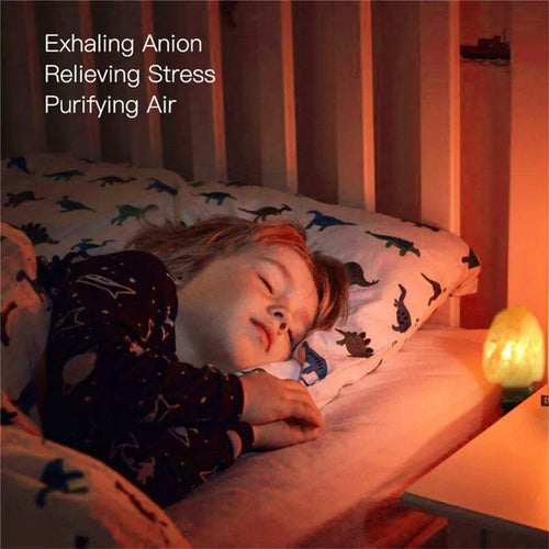 Himalayan Salt Crystal LED Mood Night Lamp