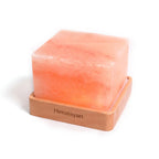 Himalayan Salt Lamp with LED Color Night Light