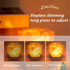 Himalayan Salt Rock LED Night Lamp USB